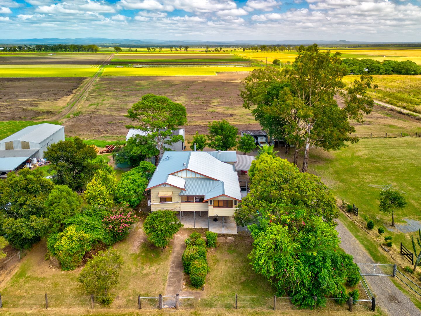 169 Forest Hill - Fernvale Road, Lynford QLD 4342, Image 1