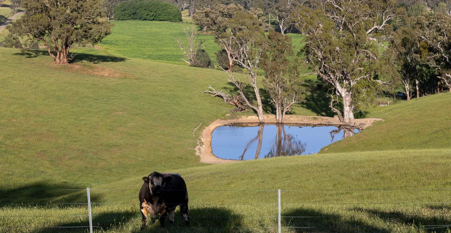 Additional image 43 of 1599 Whanregarwen Road, Molesworth VIC 3718