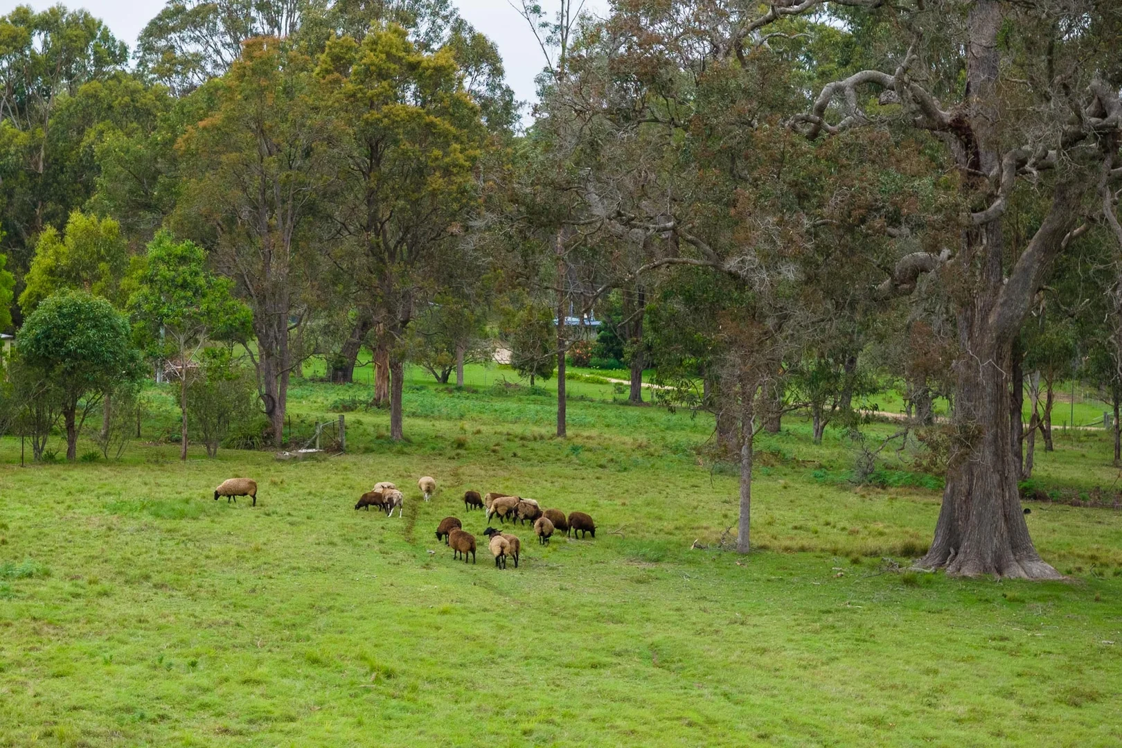 Additional image 35 of 1858 Sapphire Coast Drive, Kalaru NSW 2550