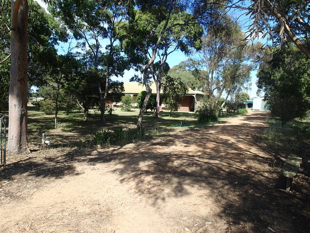 217-252 Enfield Street, Corowa NSW 2646, Image 1