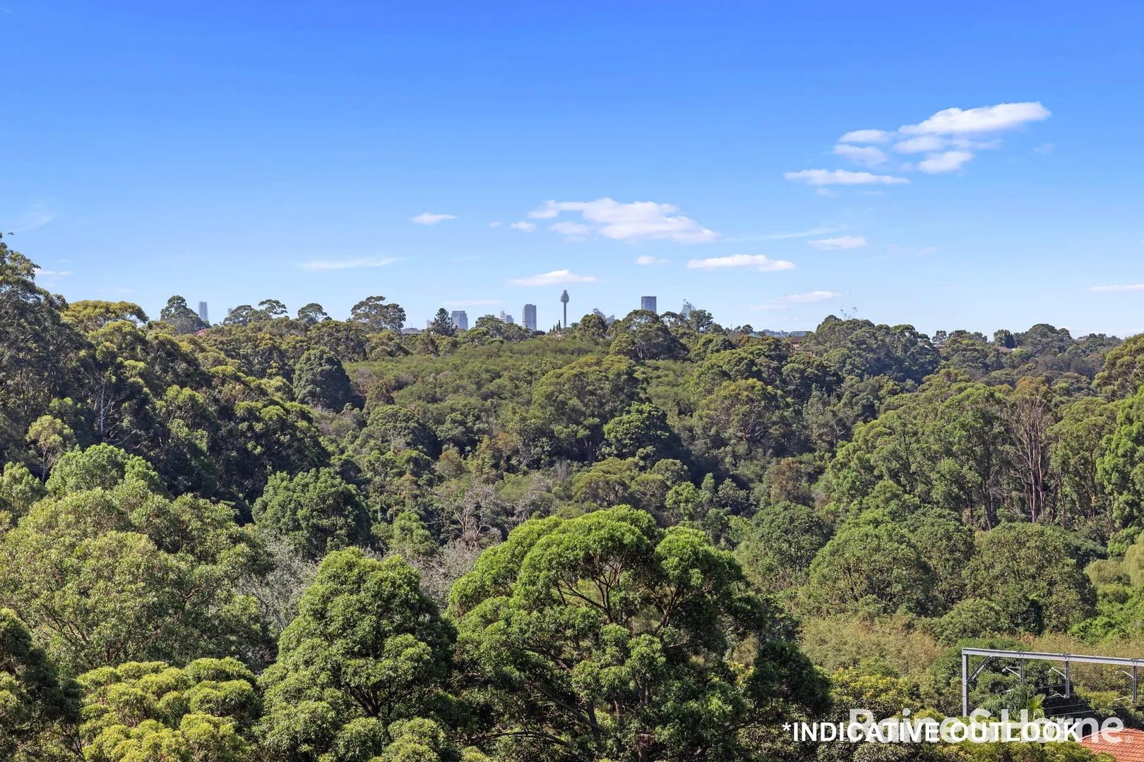 Additional image 8 of 25 Darley Road, Bardwell Park NSW 2207
