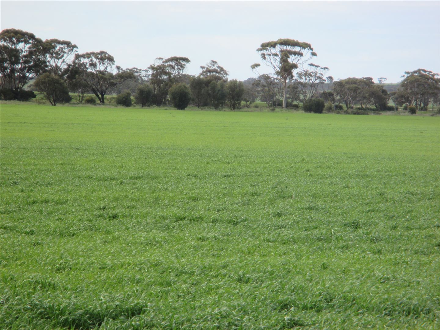 ' Lakeside', Lake Camm WA 6355, Image 0