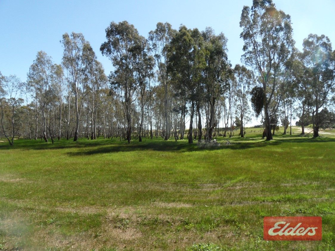 Lot 152 Pimpala Road, Sandy Creek SA 5350, Image 0