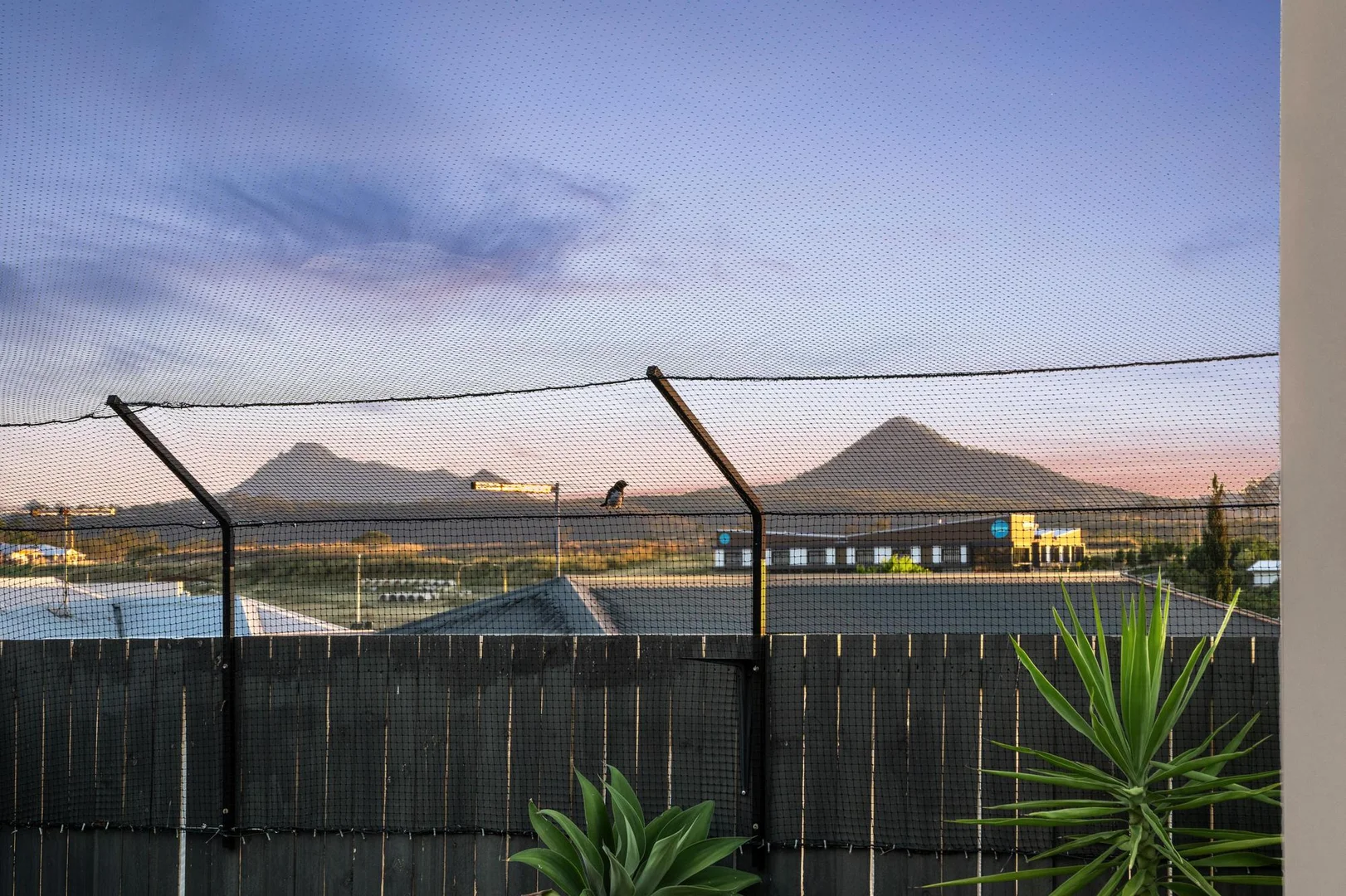 Additional image 28 of 83 Greenview Avenue, South Ripley QLD 4306