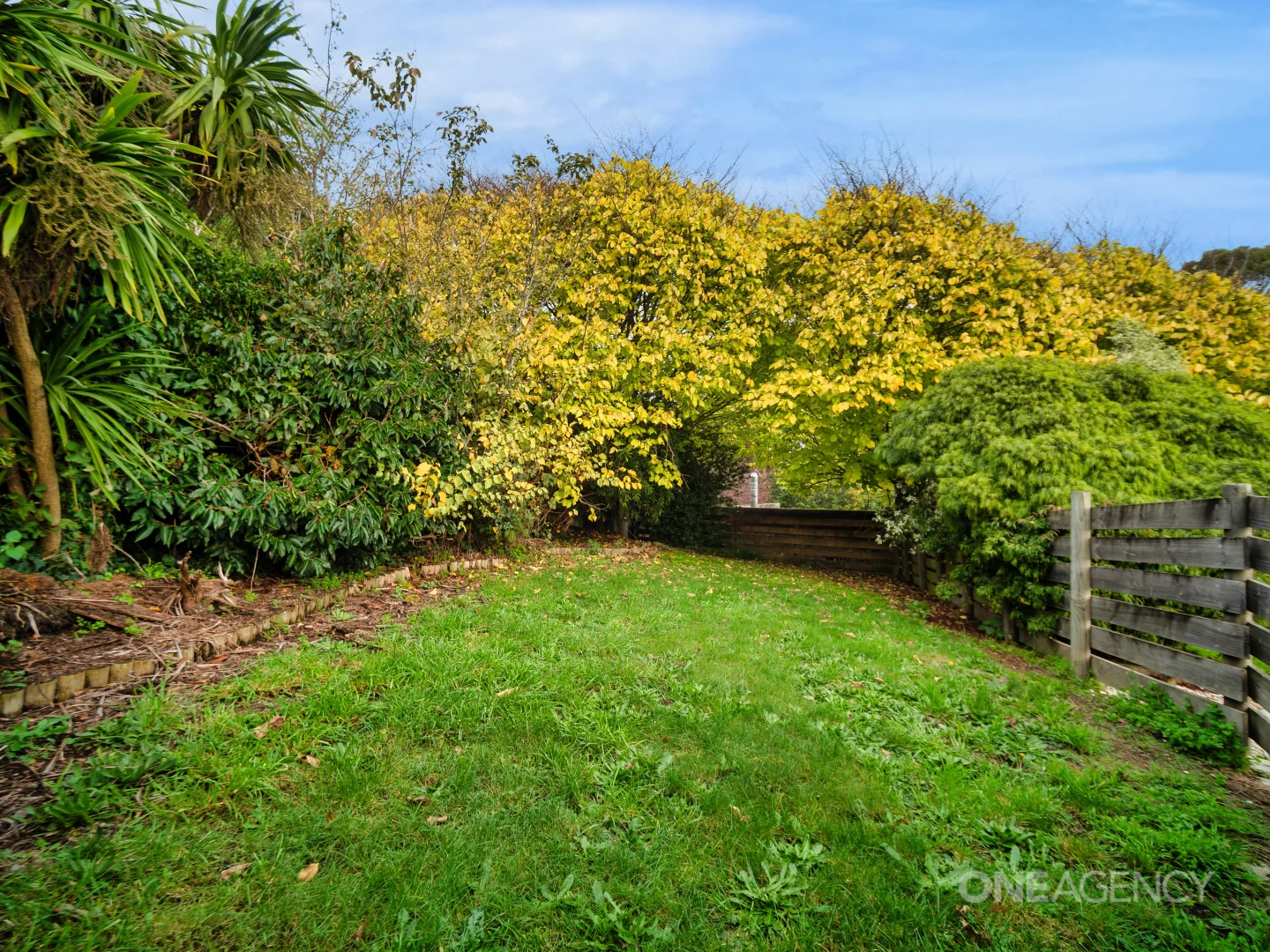 Image 29