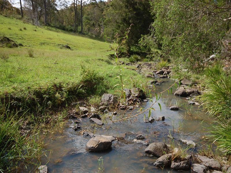 DOLLYS FLAT NSW 2429, Image 2