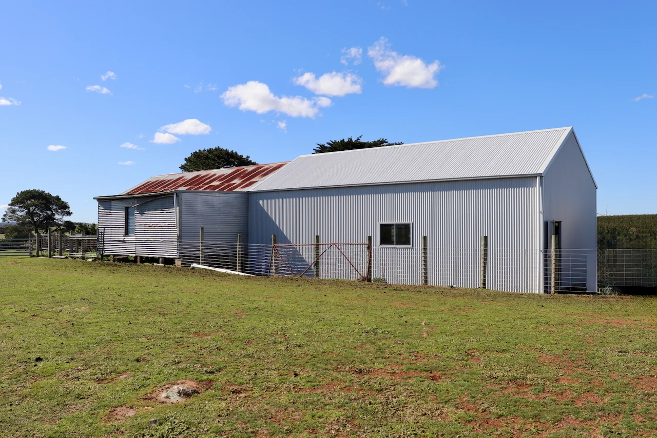 Image 12