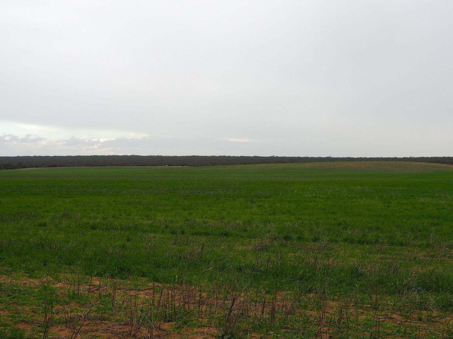 Lot 6 Boundary Road, Kepa SA 5259, Image 1