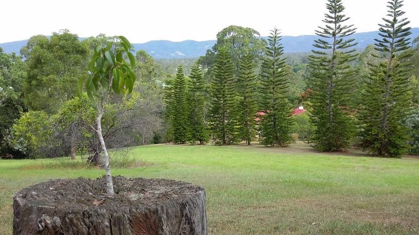 2/Lot 2/73 Greggs Road, Samford Valley QLD 4520, Image 2