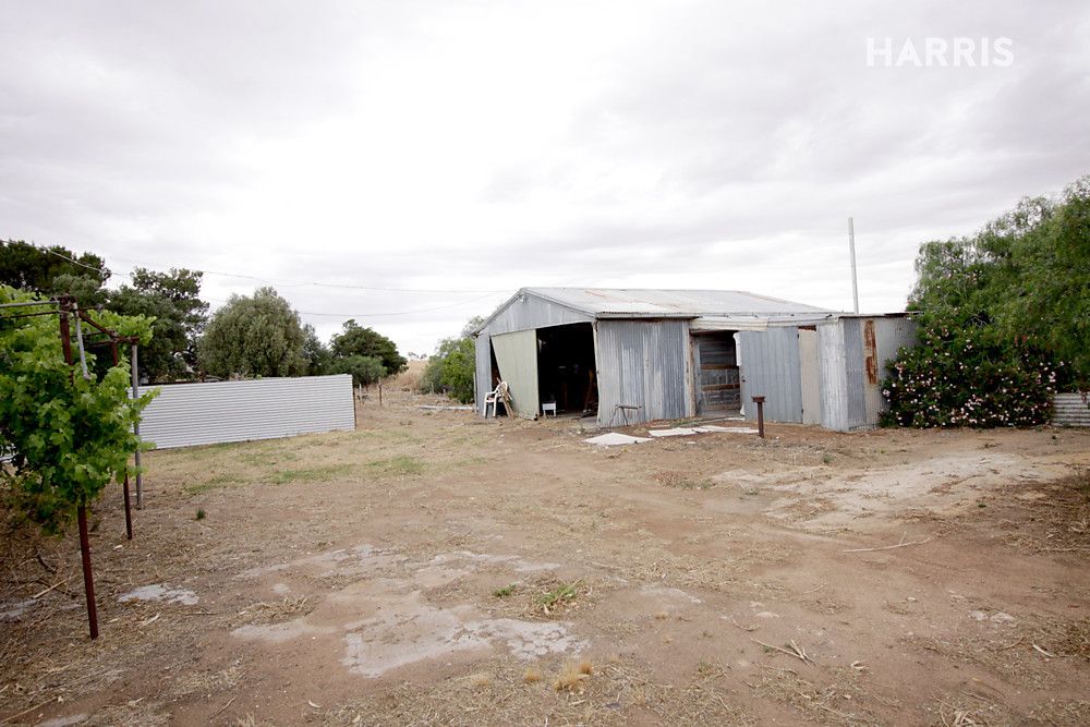 38 Muddy Lane, North Moonta SA 5558, Image 1