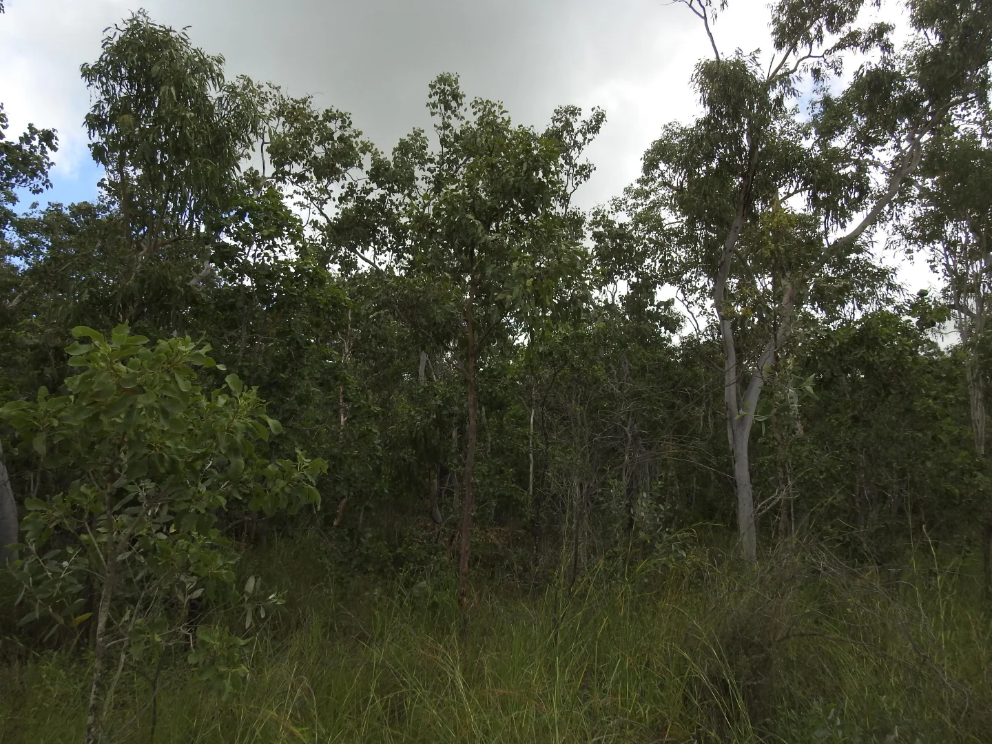 Image 8