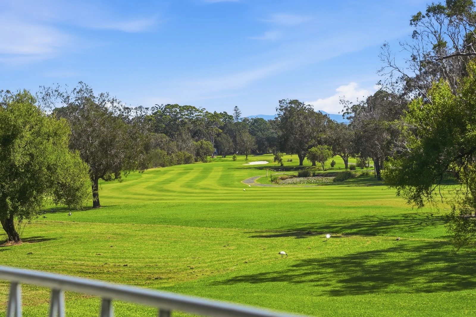 Additional image 5 of 20 Bellingen Street, Urunga NSW 2455