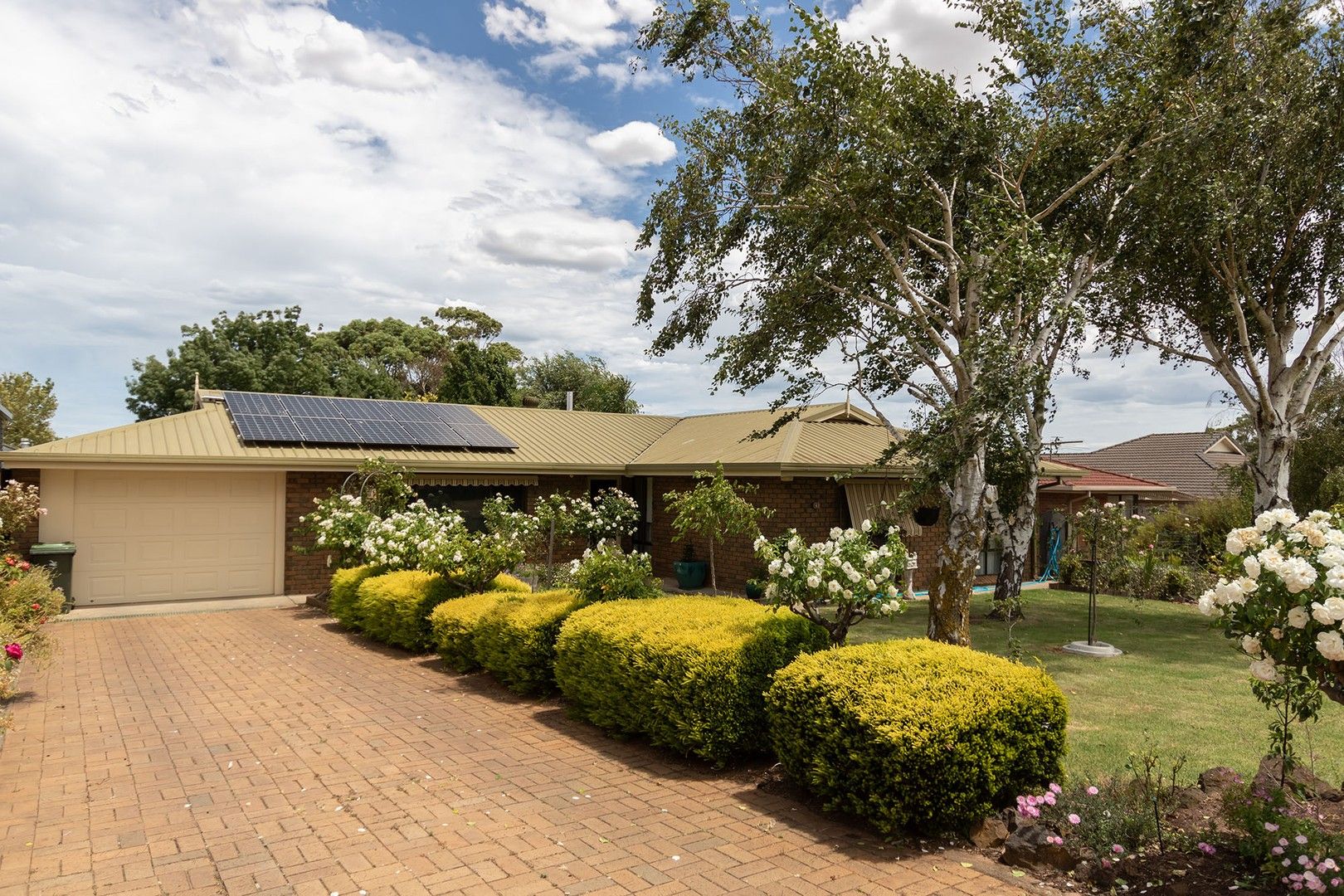 41 Grosser Street, Millicent SA 5280, Image 1