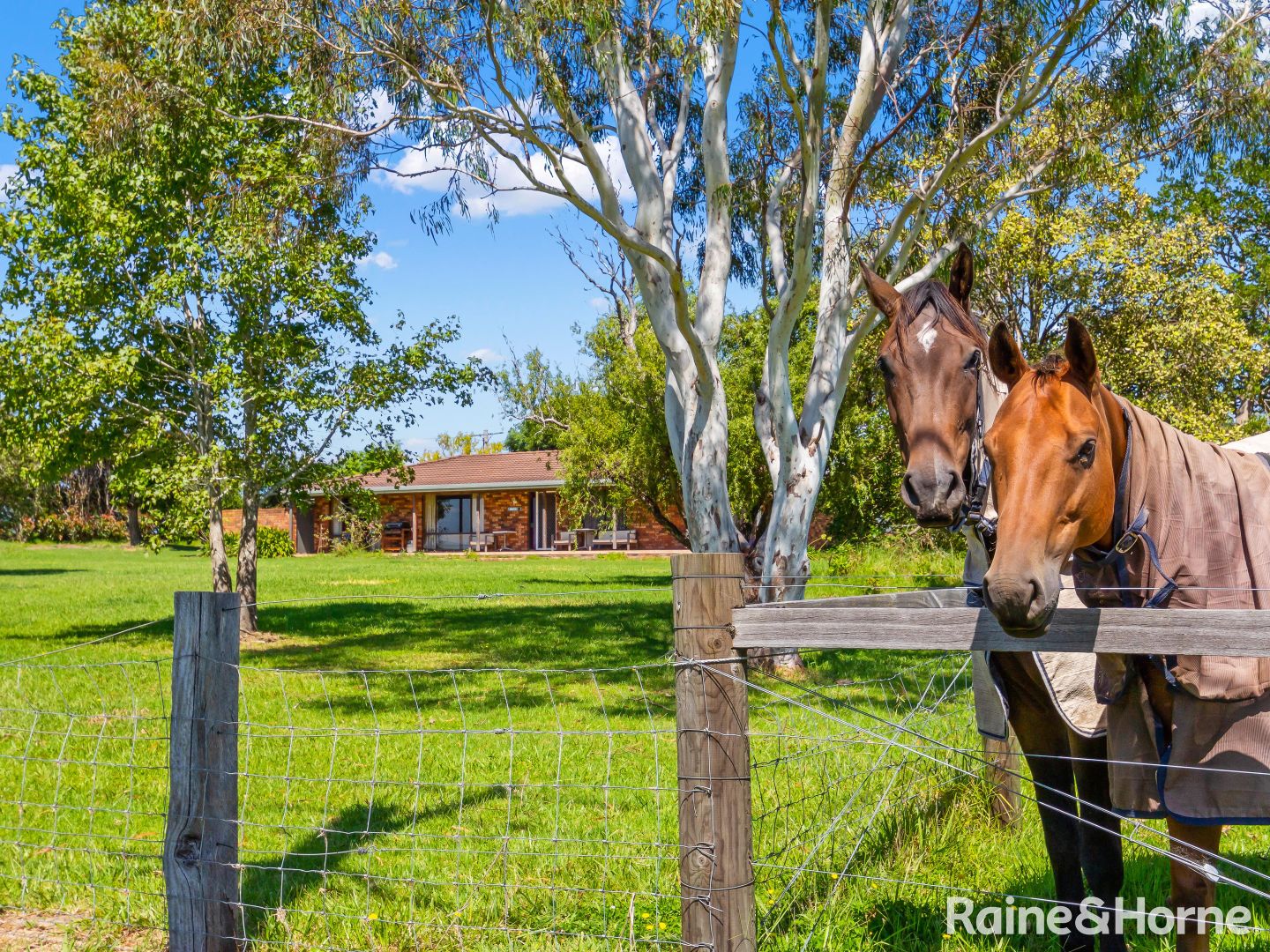 397 Croobyar Road (via Milton), Croobyar NSW 2539, Image 2