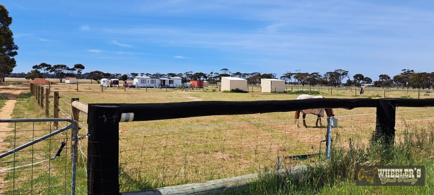 Additional image 18 of 36 Cook Street, Kondinin WA 6367