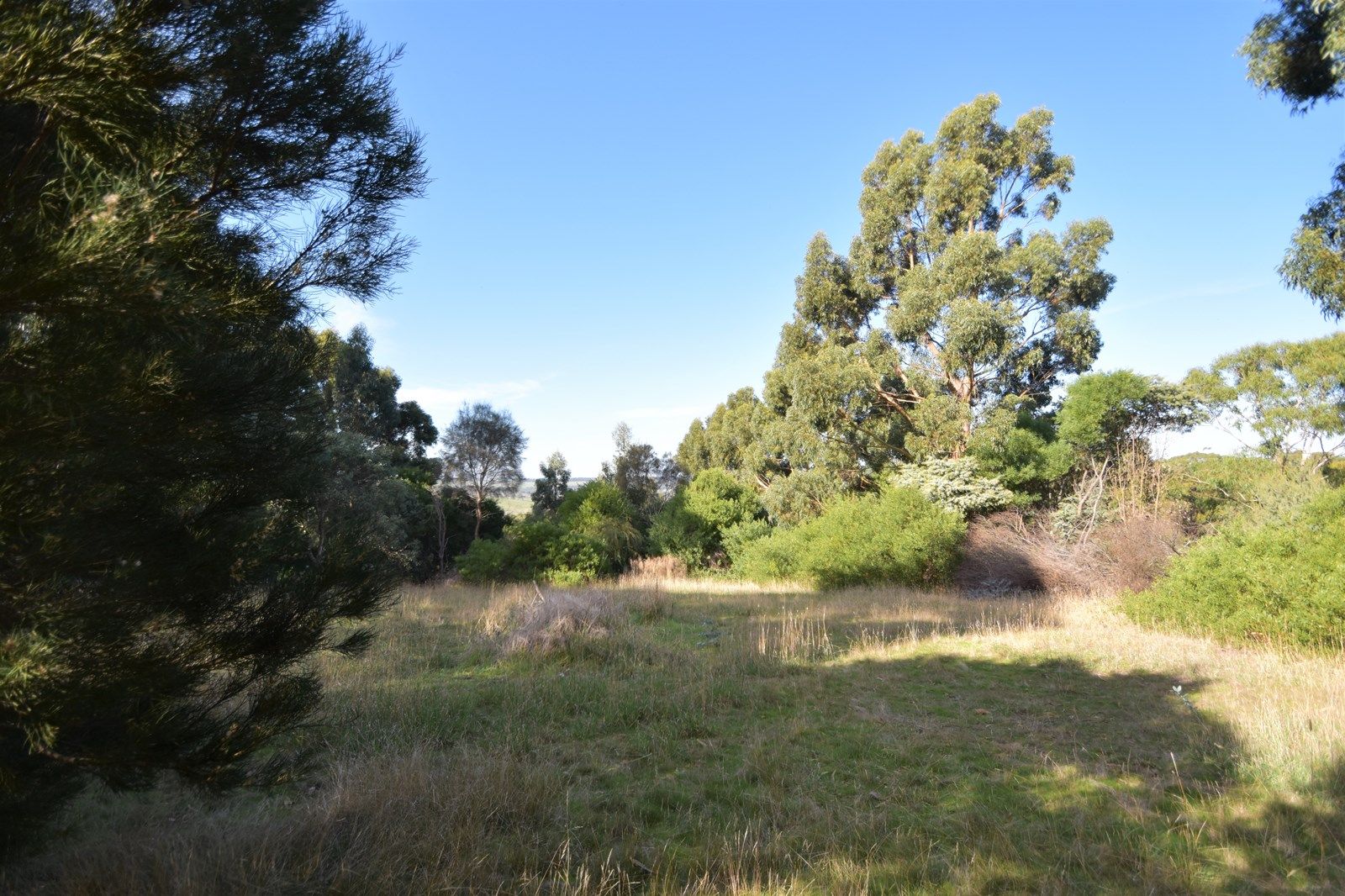 Lot 16 Rarkang Road, Silverton SA 5204, Image 2