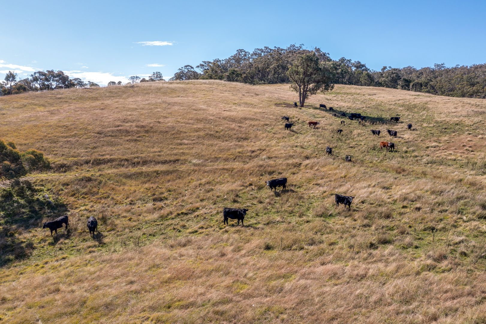 122 Oallen Road, Nerriga NSW 2622, Image 1