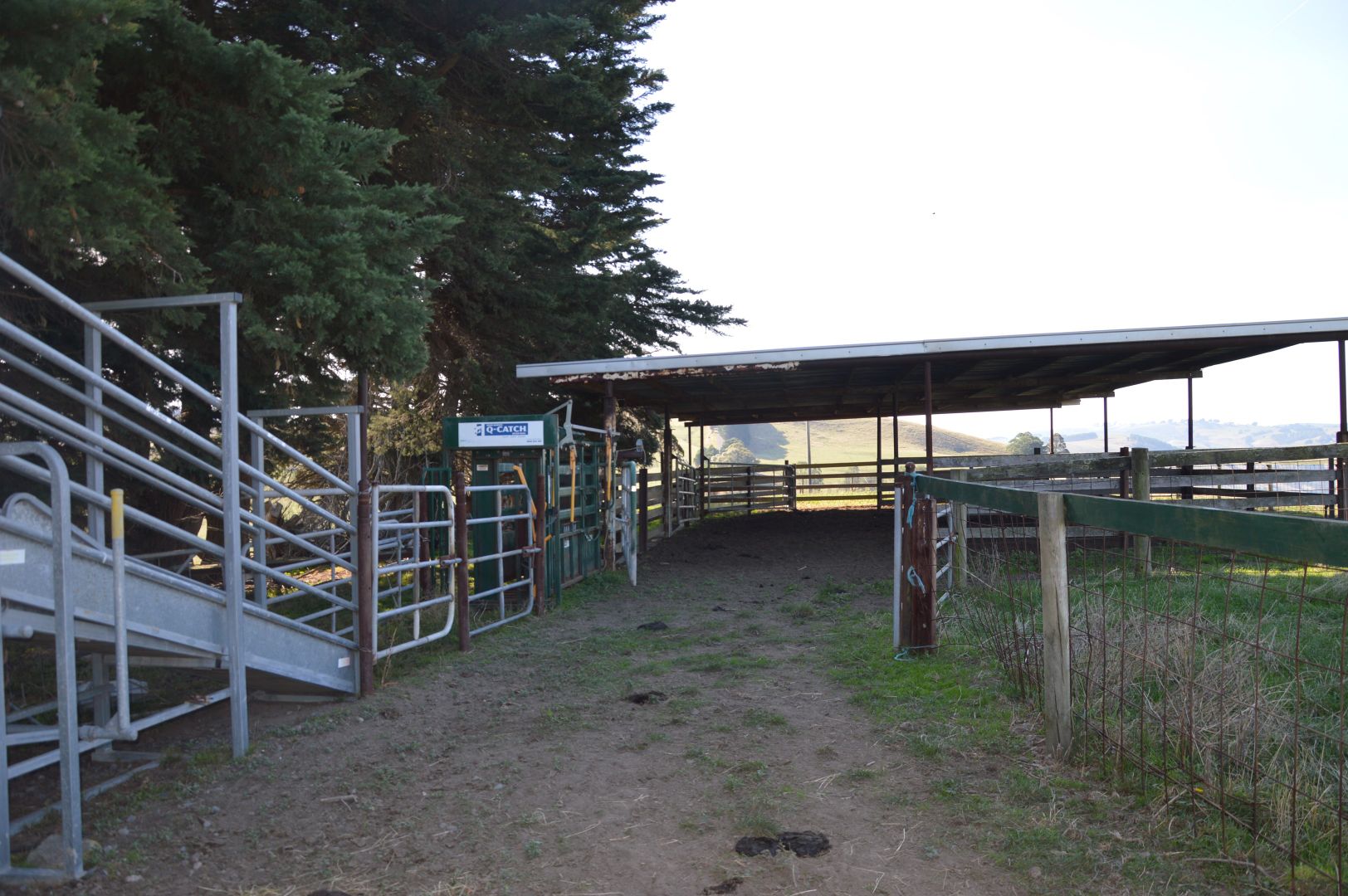 99 FOSTERS ROAD, Wild Dog Valley VIC 3953, Image 2