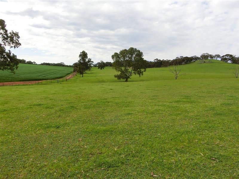 Allotment/302 Krieg Road, Seppeltsfield SA 5355, Image 0