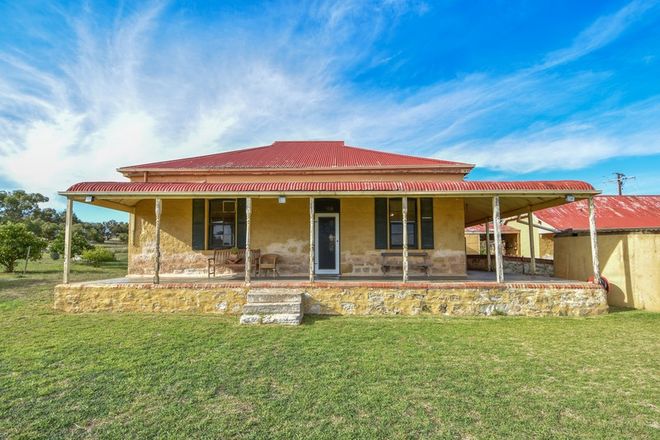 Picture of 528 Powerline Rd, GLADSTONE SA 5473