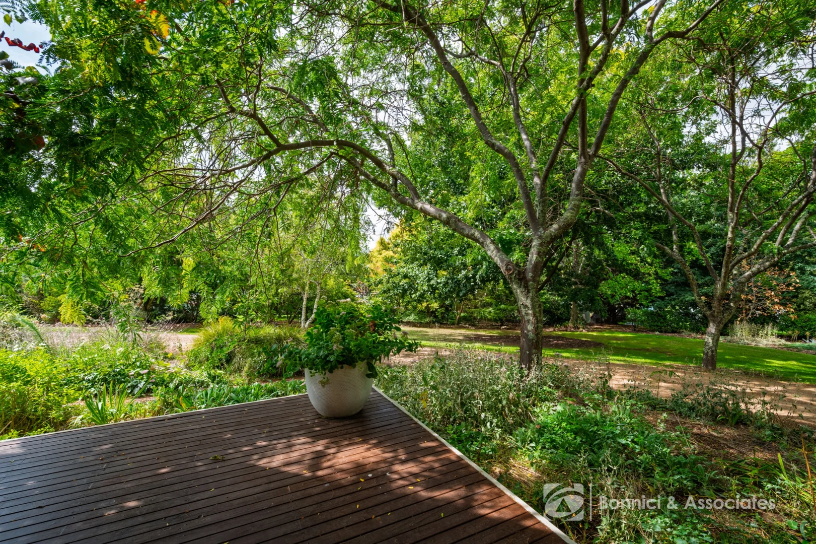 Image 24
