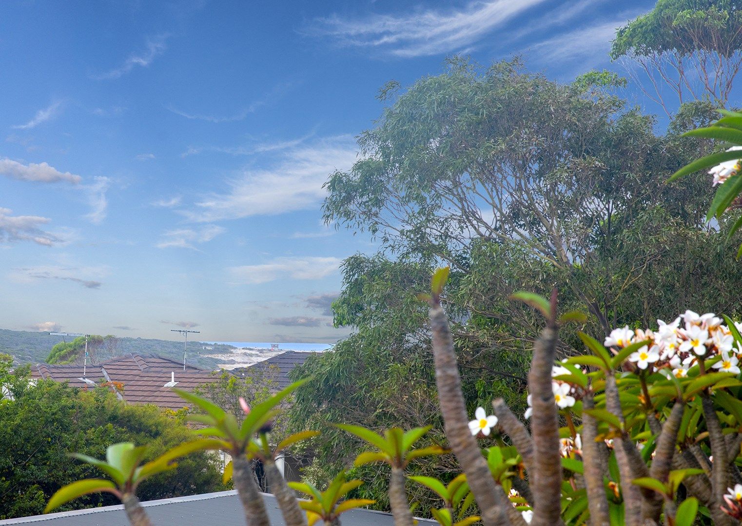 7/57 Adams Avenue, Malabar NSW 2036 Apartment For Rent 850 Domain