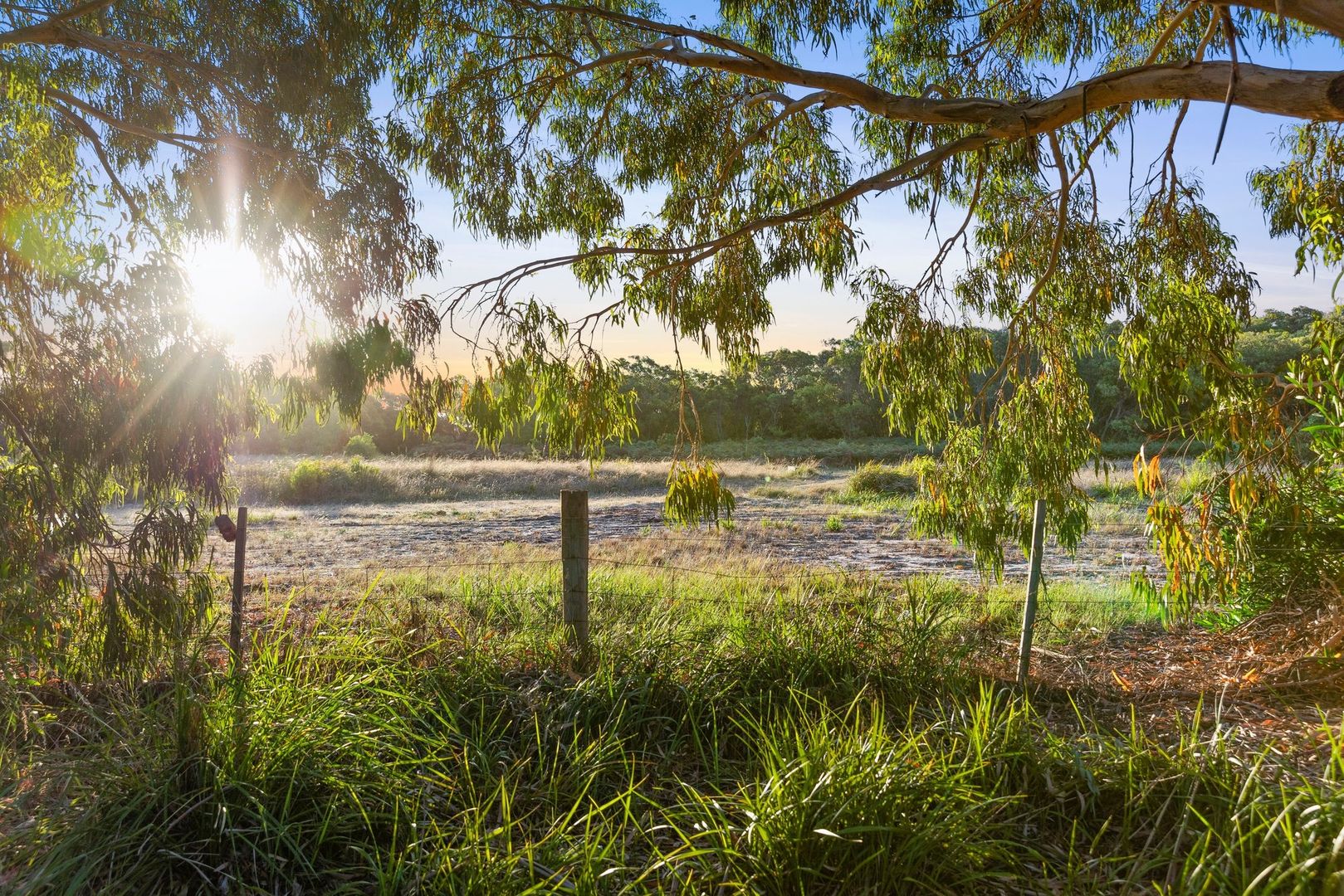 14 Dune Street, St Leonards VIC 3223, Image 2