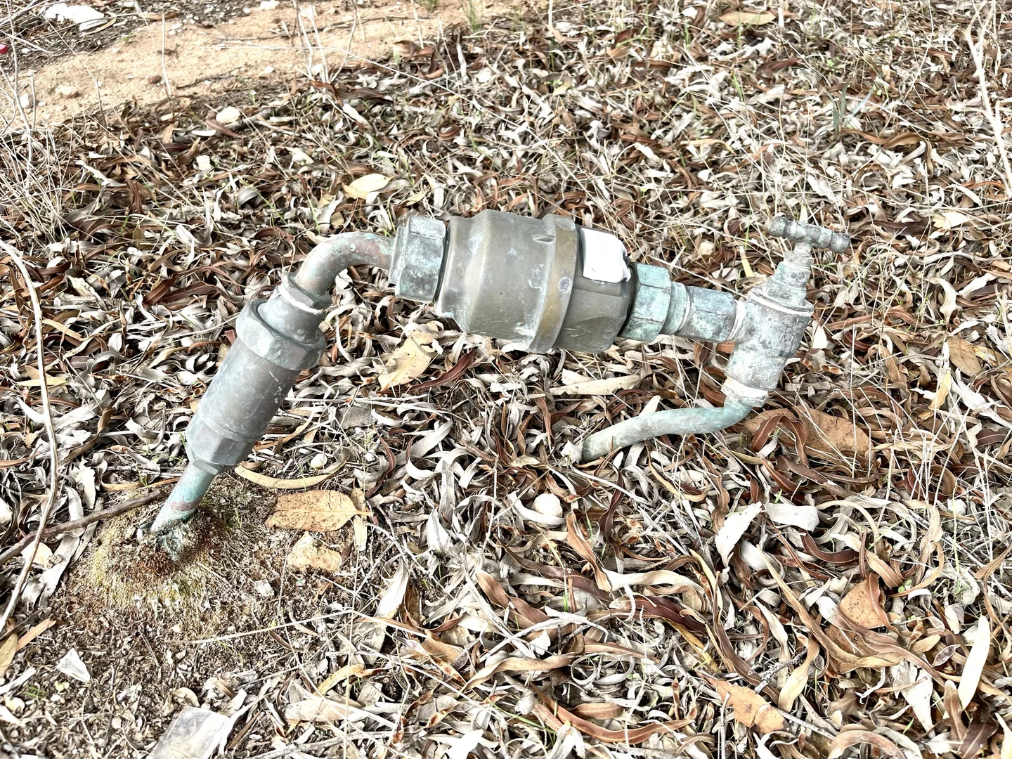 Image 6