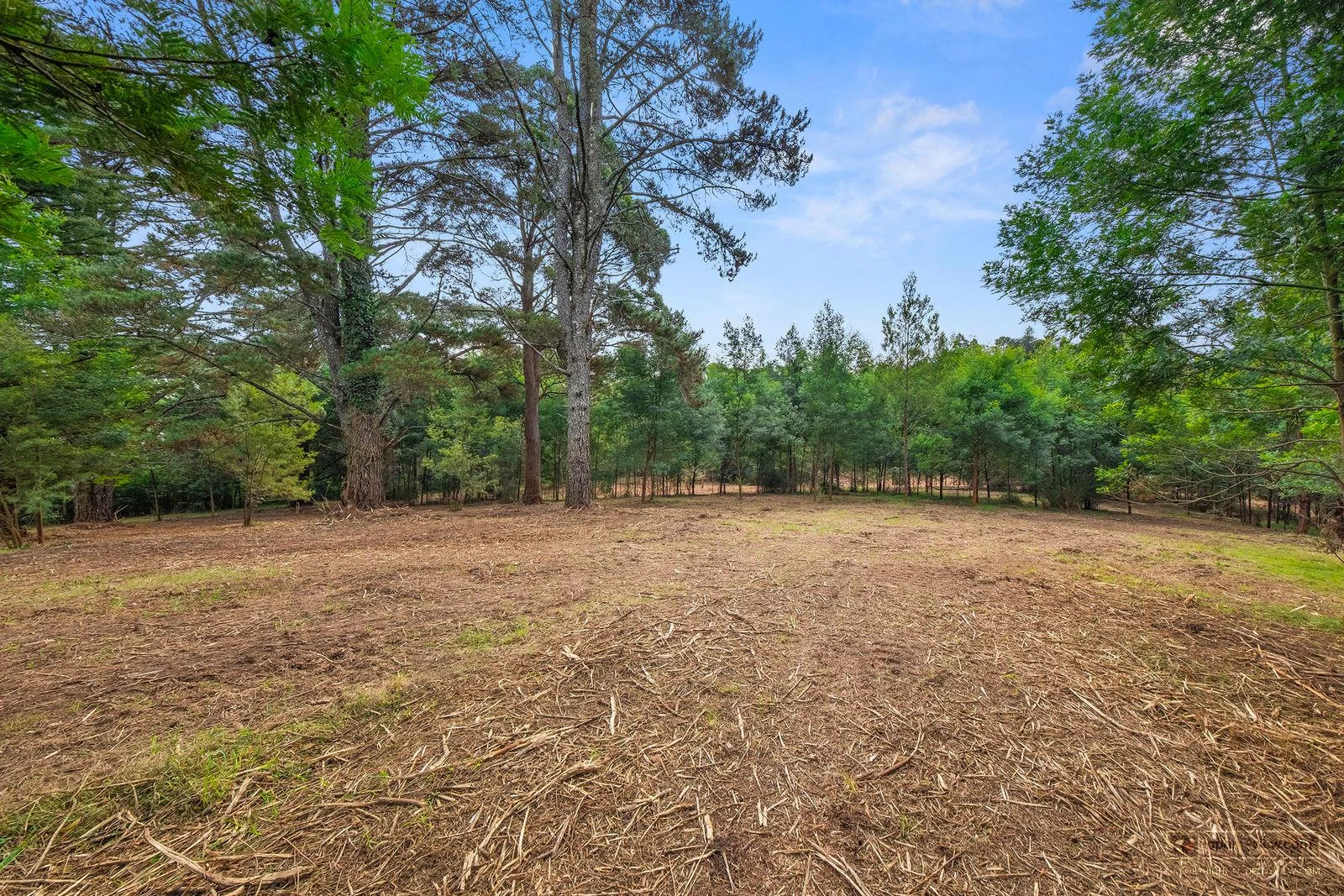 Image 15