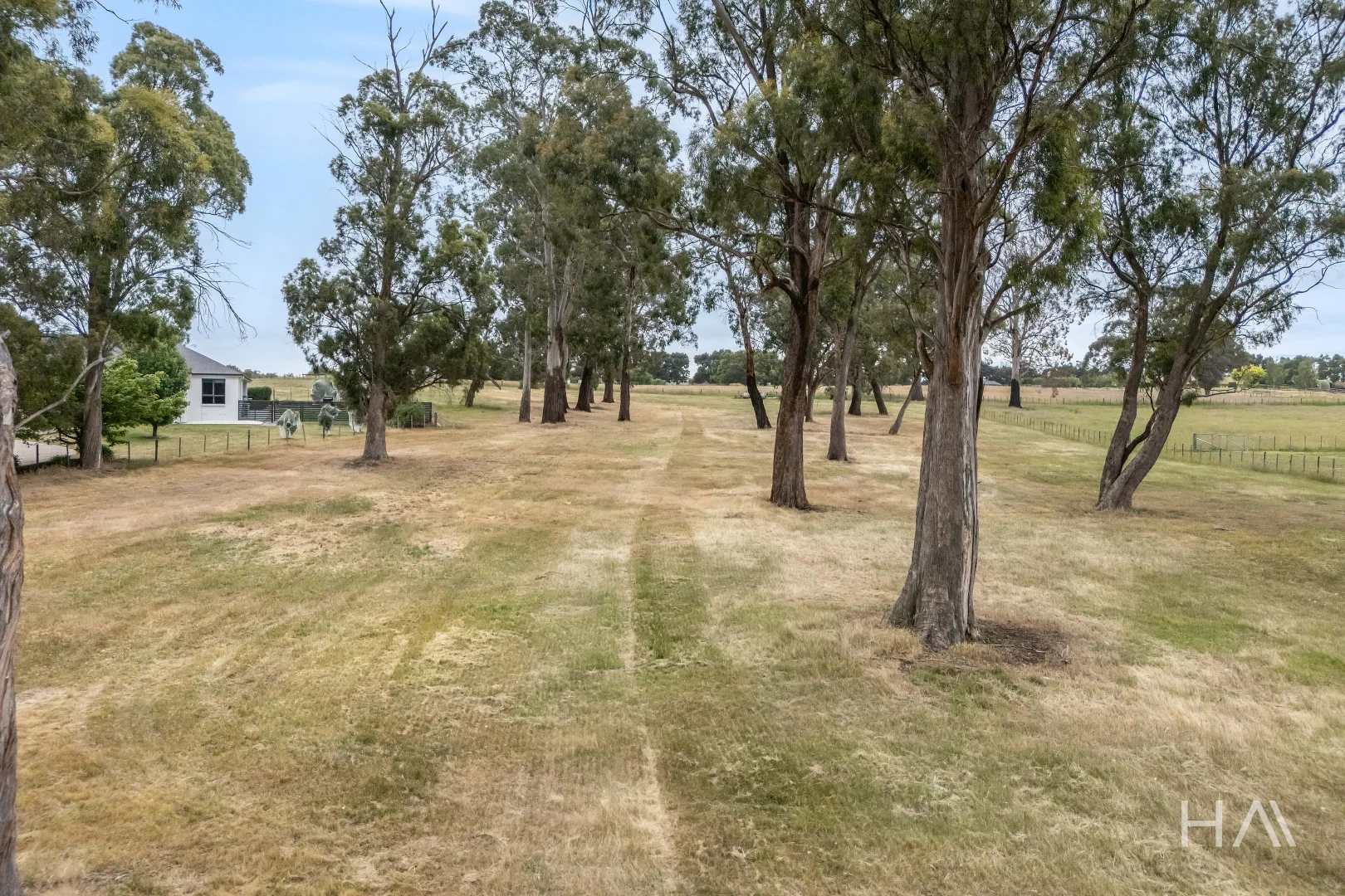Image 30