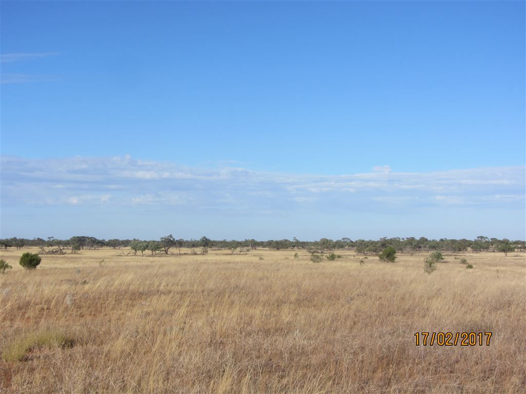 * Mount Kew, Wilcannia NSW 2836, Image 0