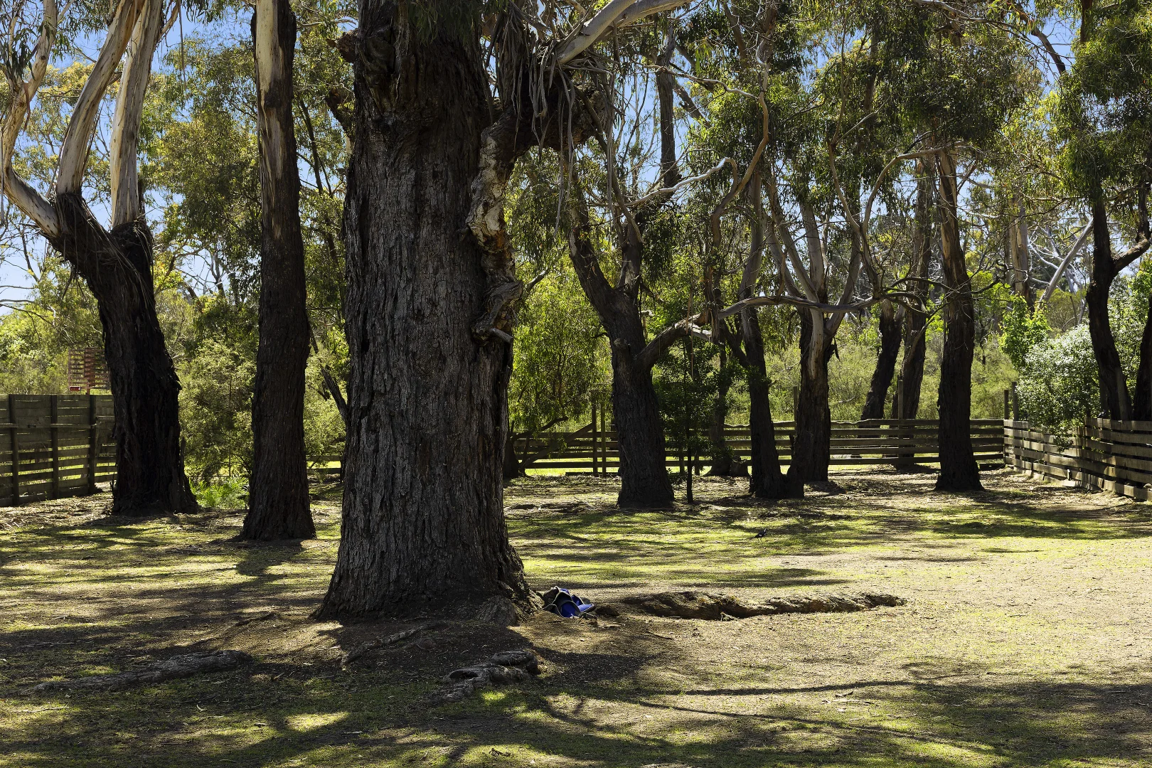 Image 15