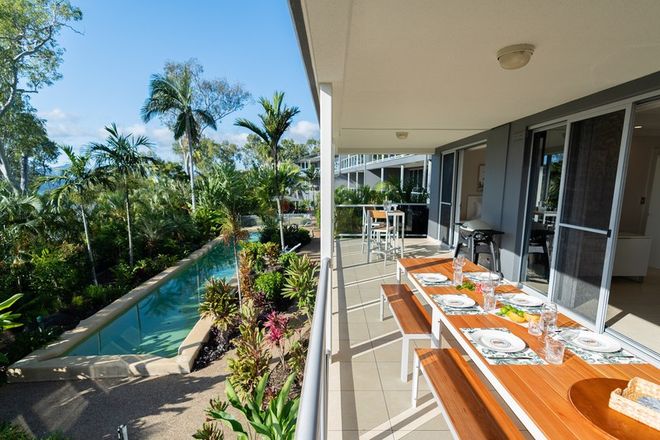 Picture of Bluewater Views 3/2 Banksia Court, HAMILTON ISLAND QLD 4803