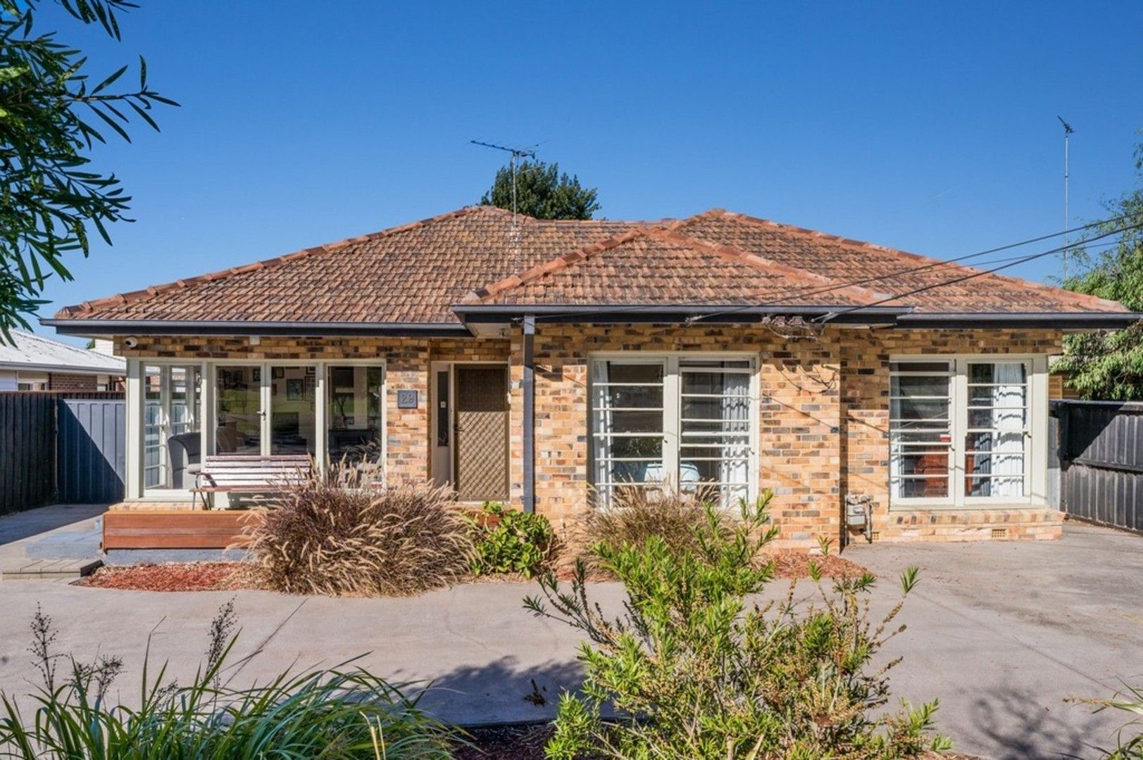 29 Finchaven Street, Herne Hill VIC 3218, Image 0