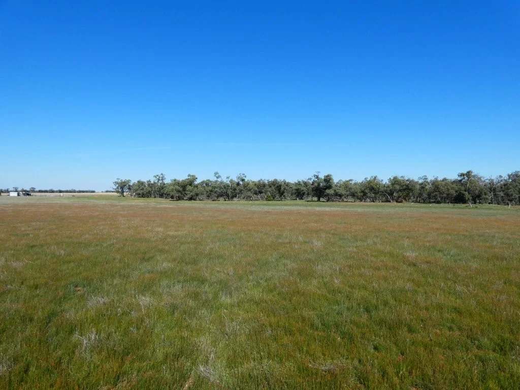Image 12