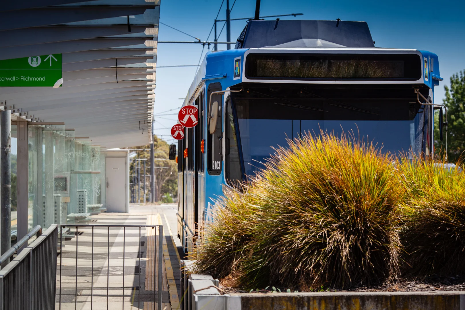 Additional image 25 of 173 Morack Road, Vermont South VIC 3133