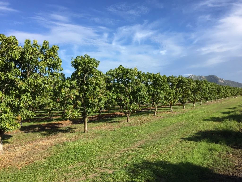 Additional image 27 of Bowen QLD 4805