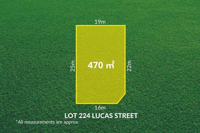 Picture of Lot 224 Lucas Street, BUCKLAND PARK SA 5120