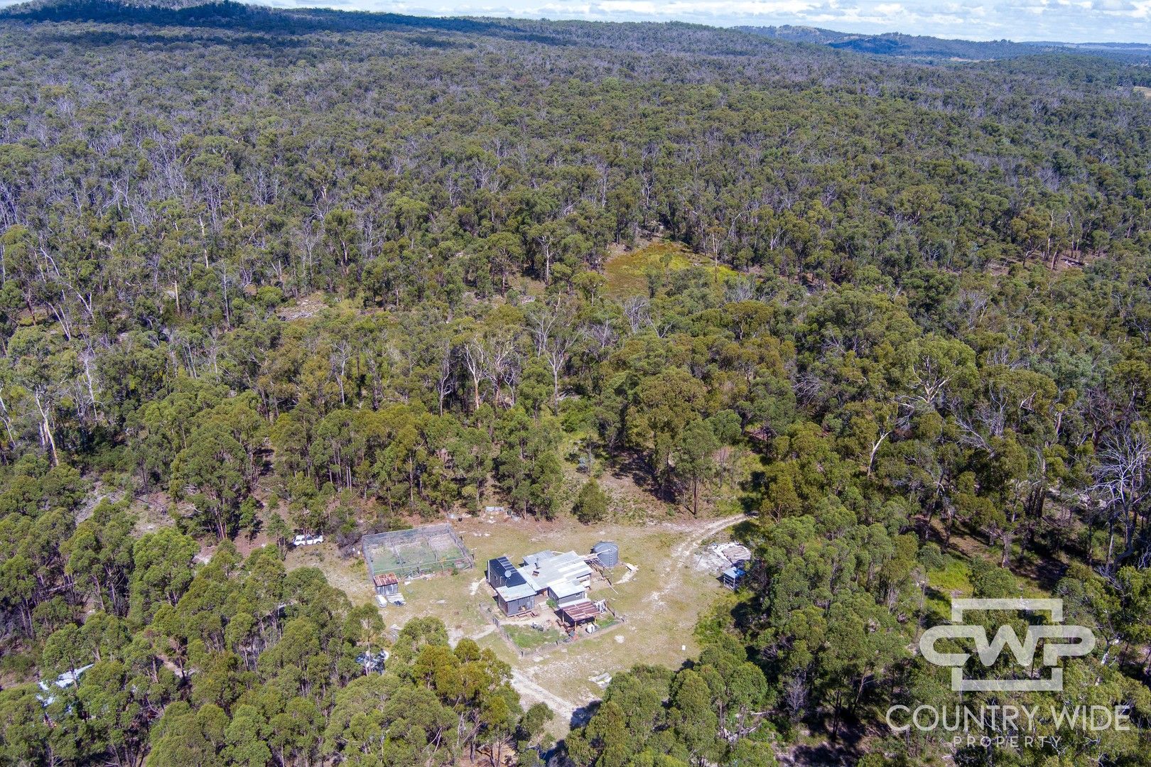 2 Carrot Farm Road, Deepwater NSW 2371, Image 0