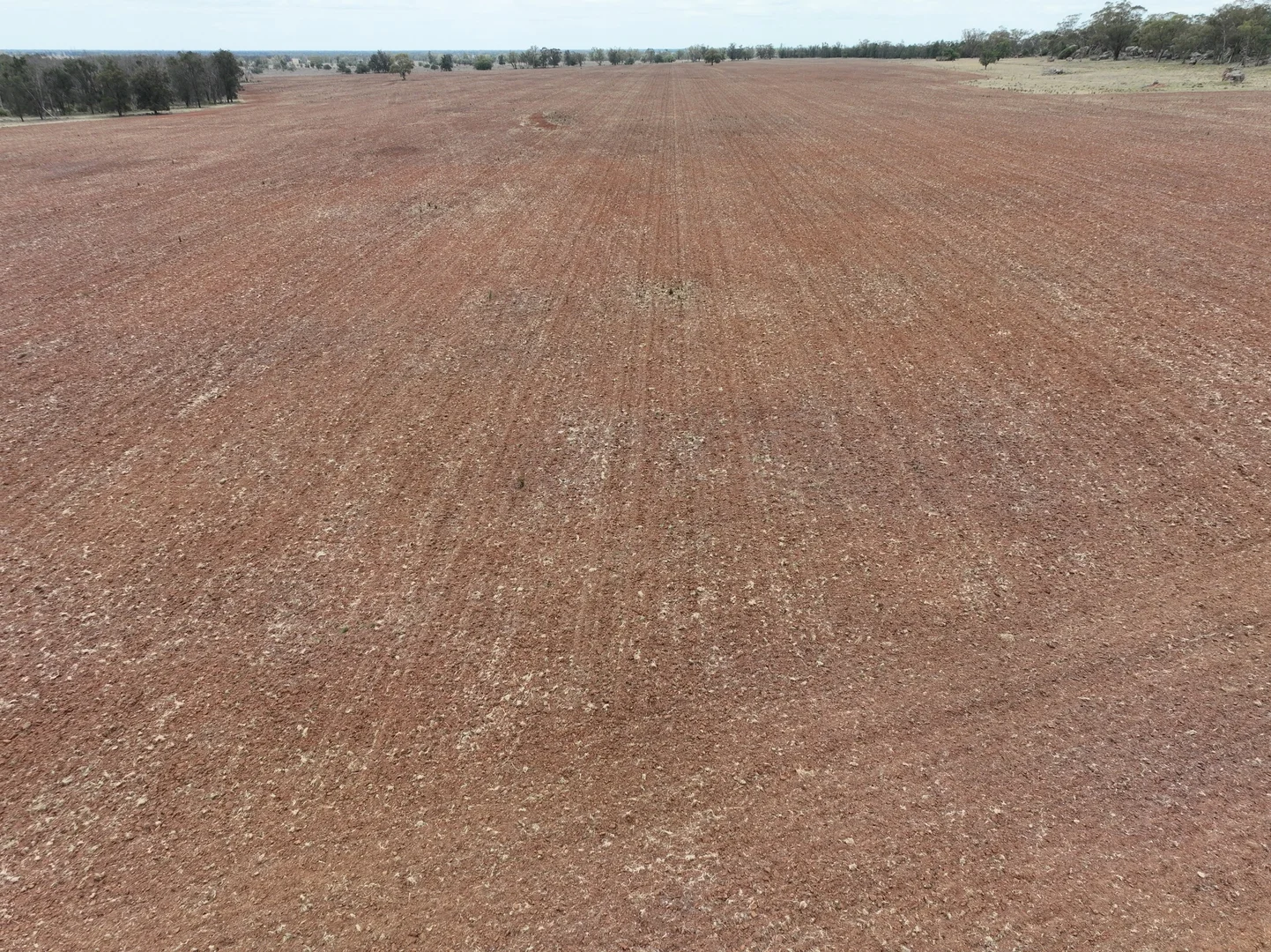 Image 29