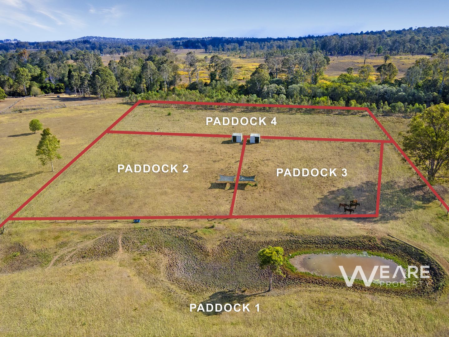 59 Blackwood Road, Jimboomba QLD 4280 House for Sale Domain