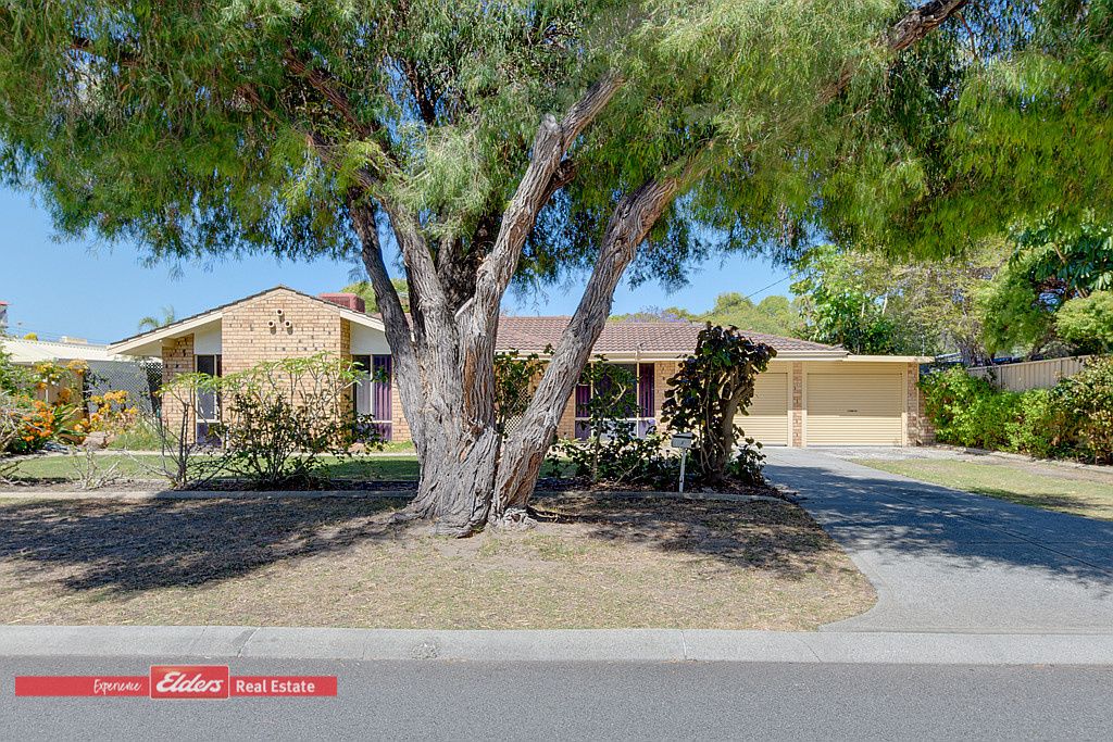 3 Dundas Court Waikiki WA 6169 House For Rent Domain