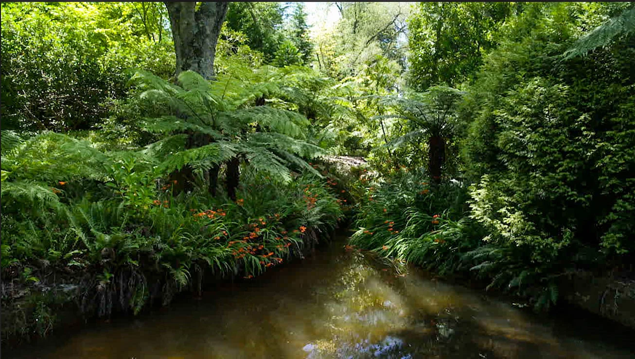 Additional image 22 of 64-68 Grose Street, Leura NSW 2780