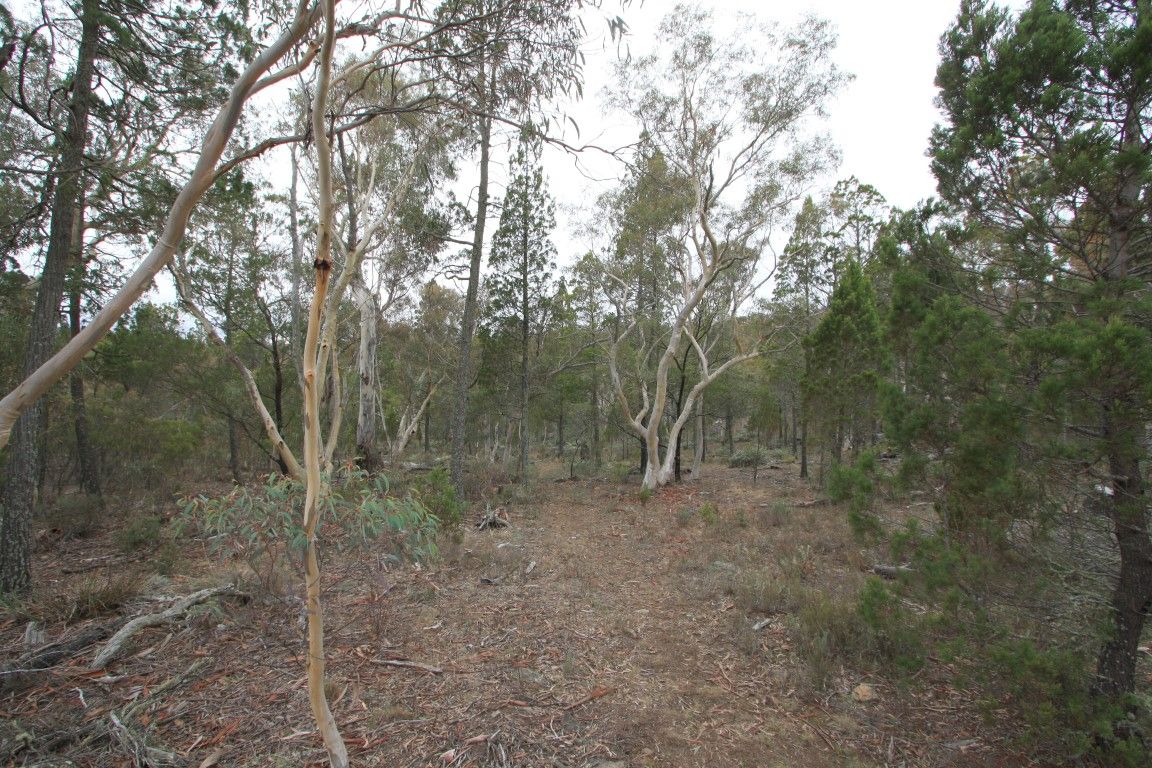 Lot 5 Woodlands Drive, Cooma NSW 2630, Image 1