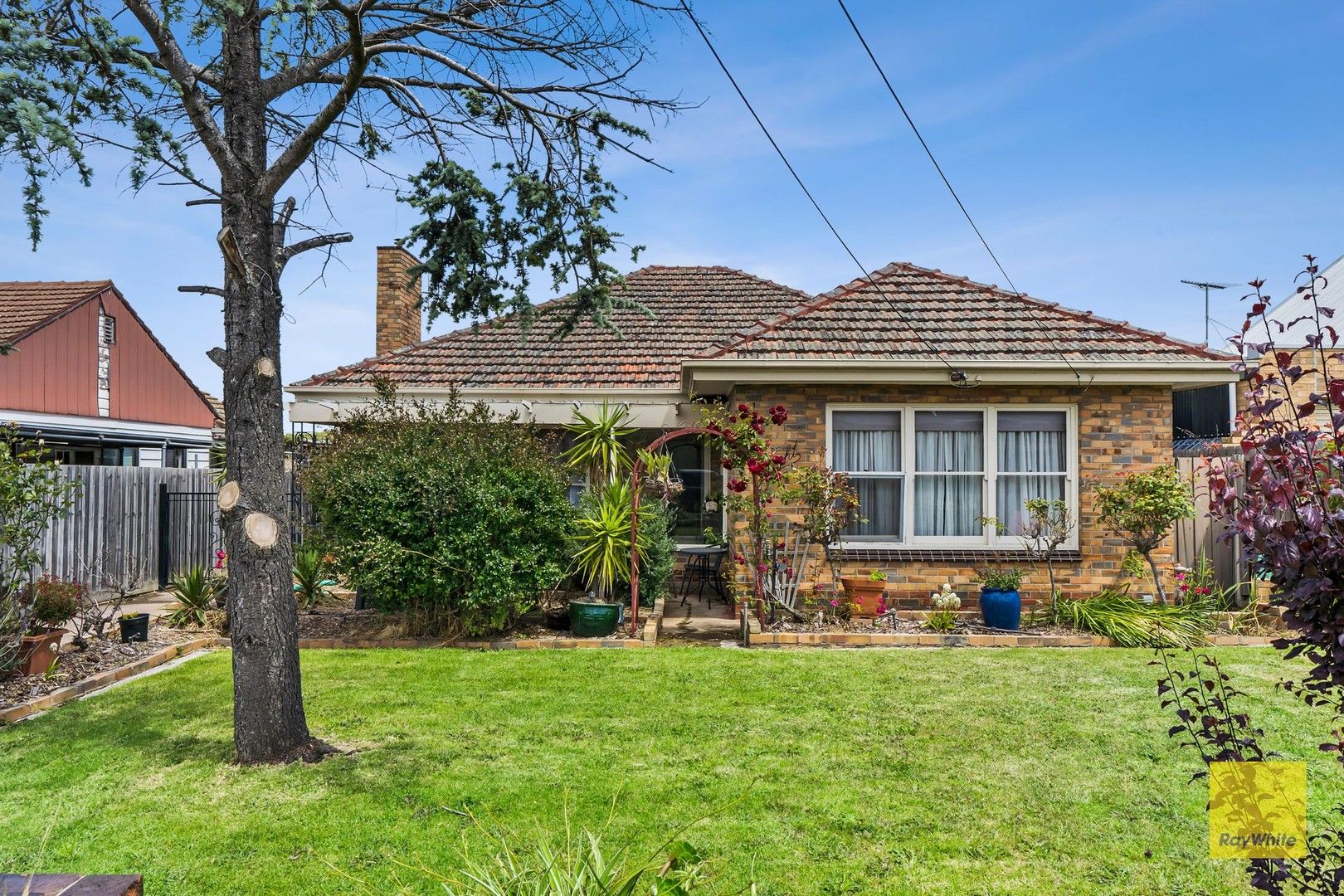 8 Dorothy Avenue, Belmont VIC 3216, Image 0