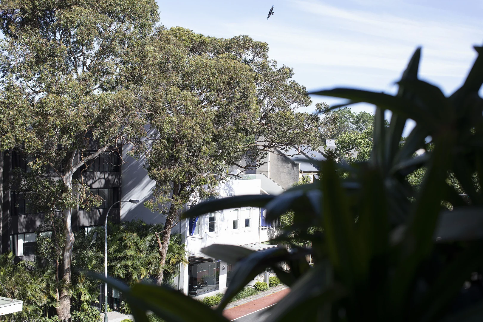 Additional image 8 of 19/11-21 Flinders Street, Surry Hills NSW 2010