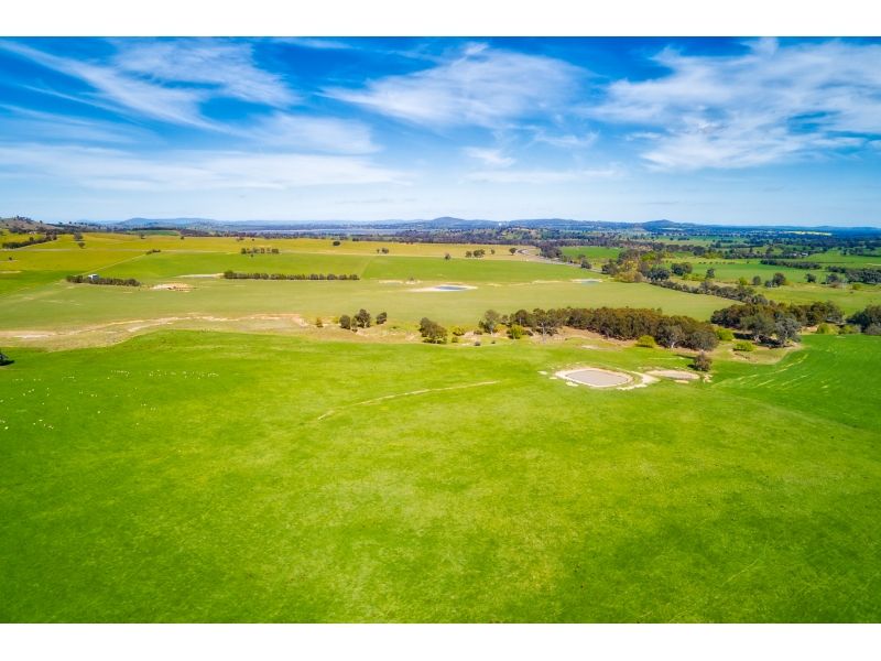 590 Bowna Road, Mullengandra NSW 2644, Image 2