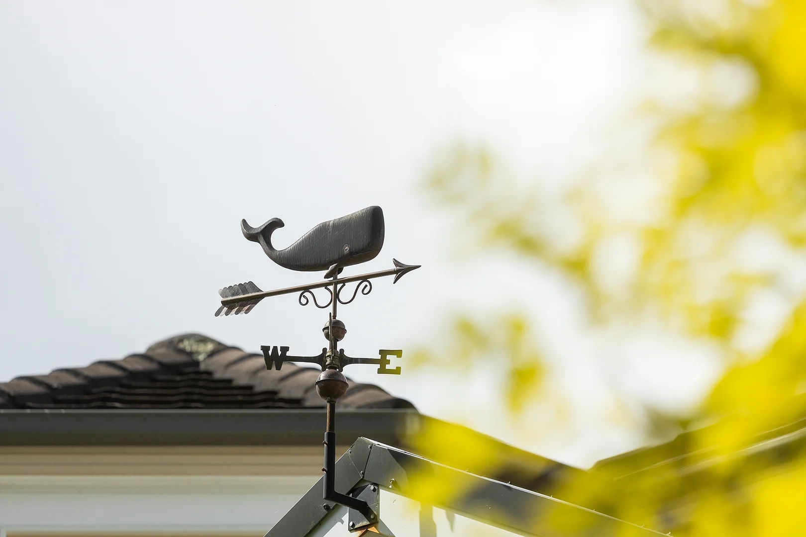 Additional image 26 of 8 Farnham Close, Mittagong NSW 2575