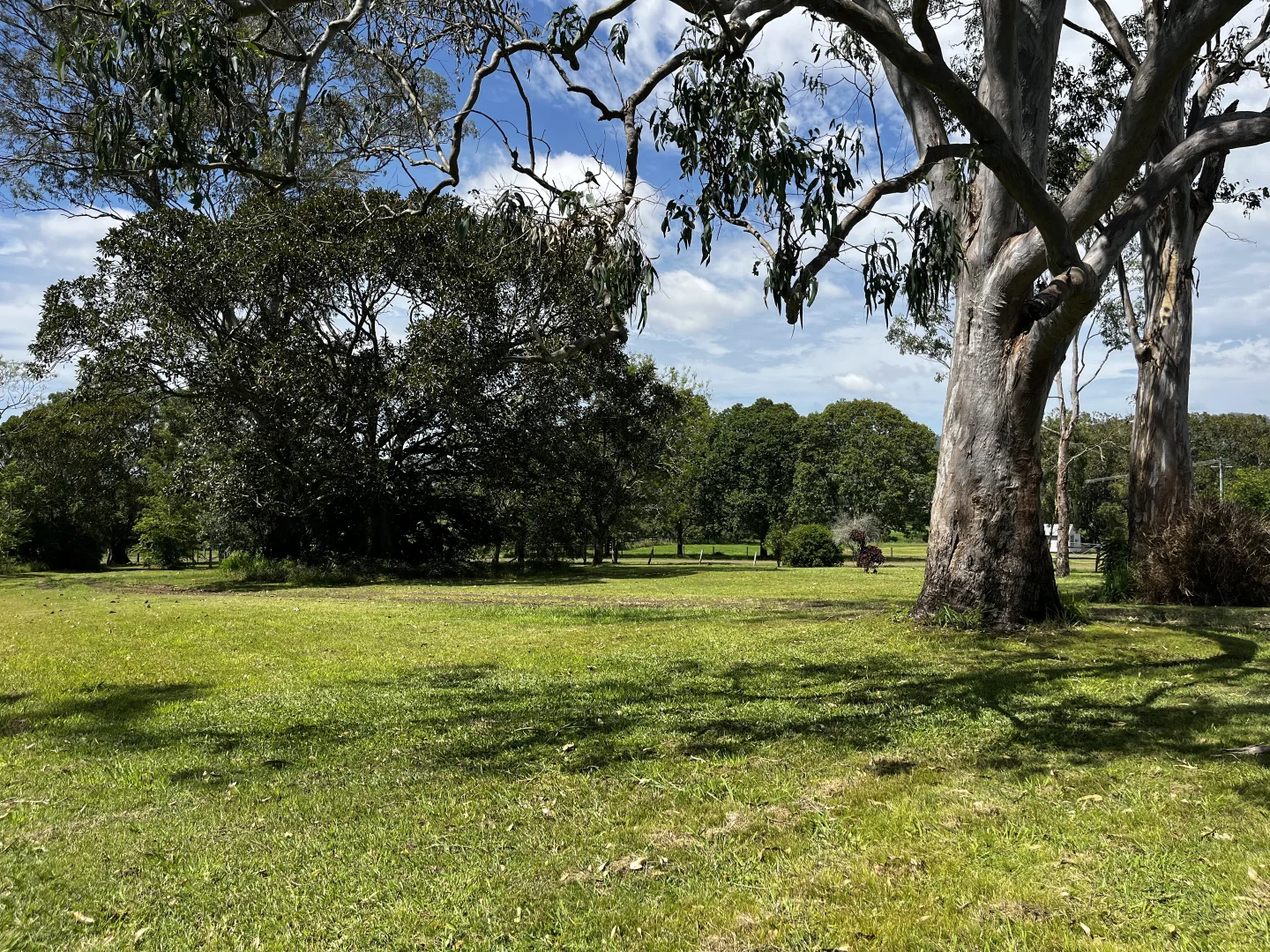 Image 27