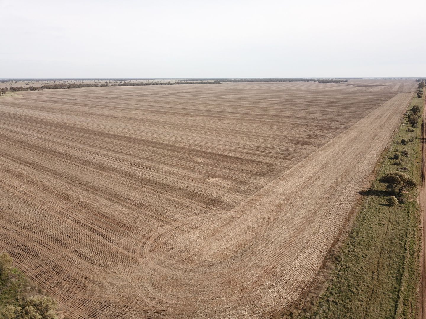 Jamea Aggregation 451 Jamea Road, Trangie NSW 2823 Specialist Farm for Sale